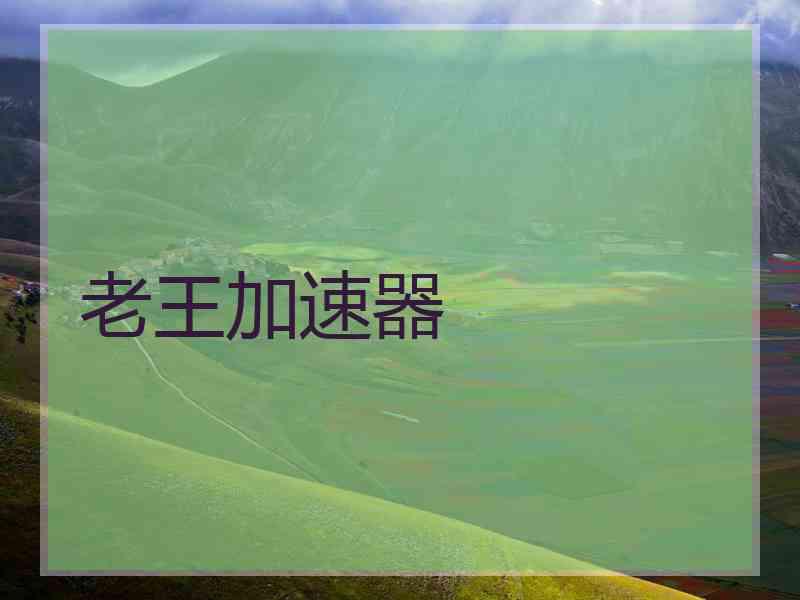 老王加速器